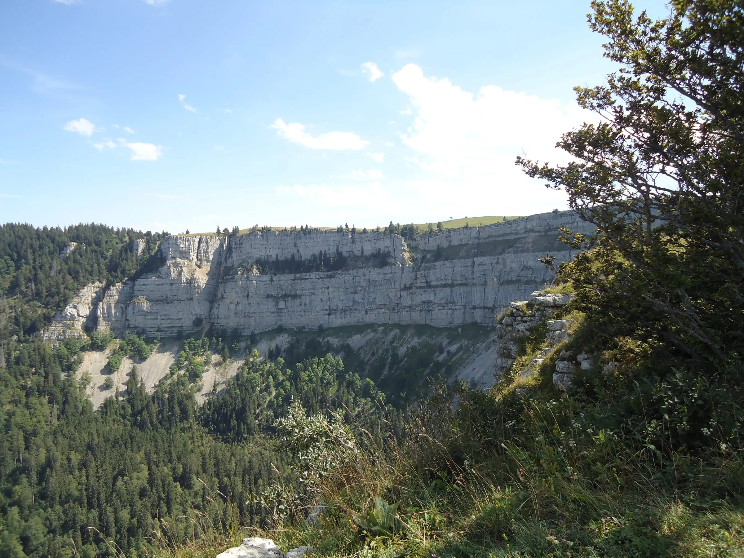 Die halbrunde Felsarena des Creux du Van über bewaldeten Hängen im Neuenburger Jura