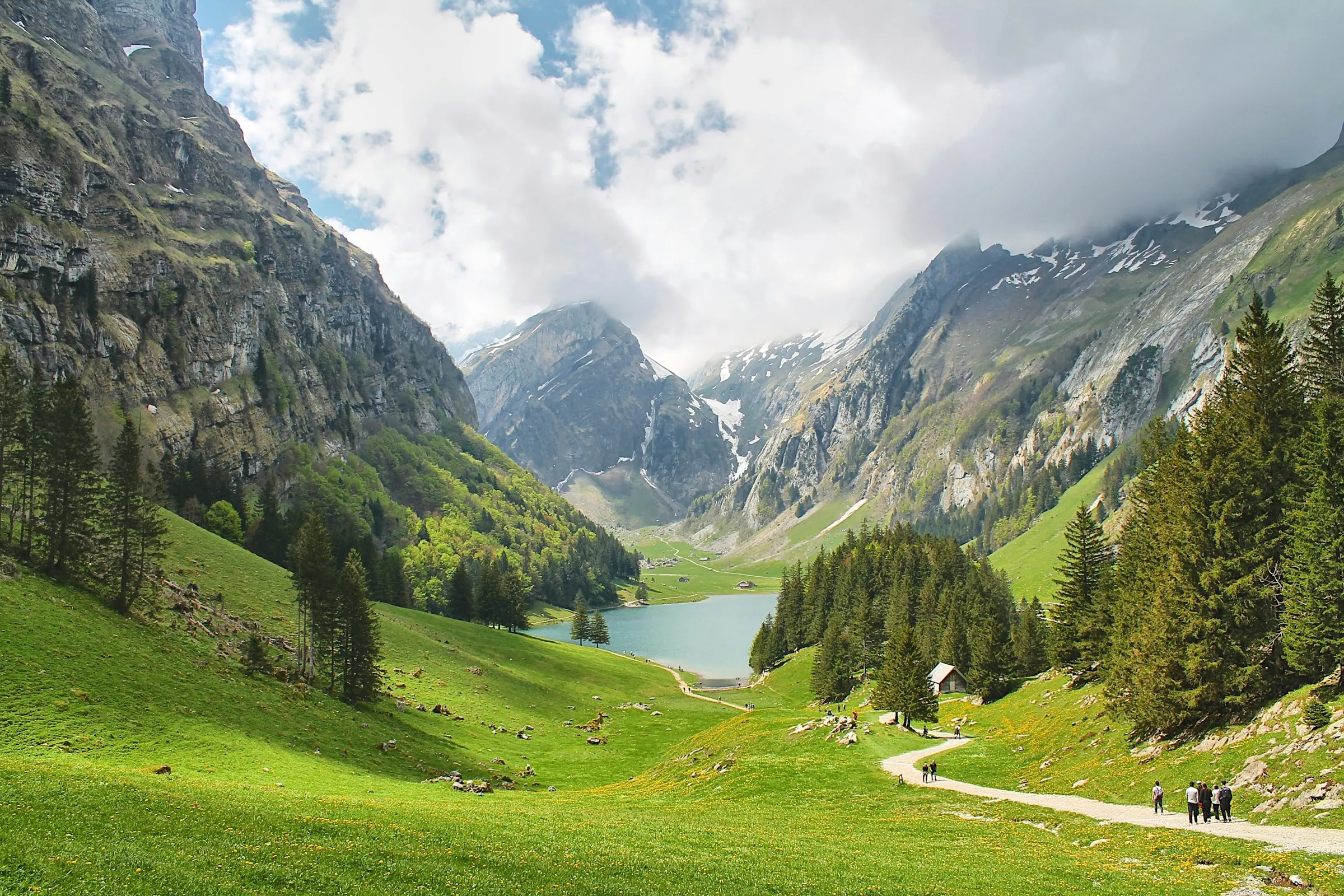 Ein Wanderweg führt durch Alpweiden zum Seealpsee im Alpstein
